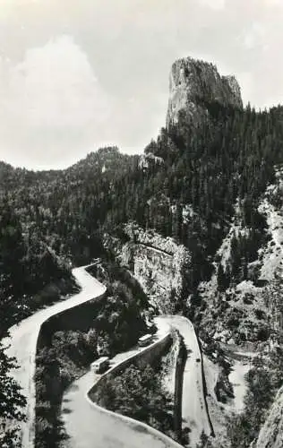 Romania serpentine in Cheile Bicazului