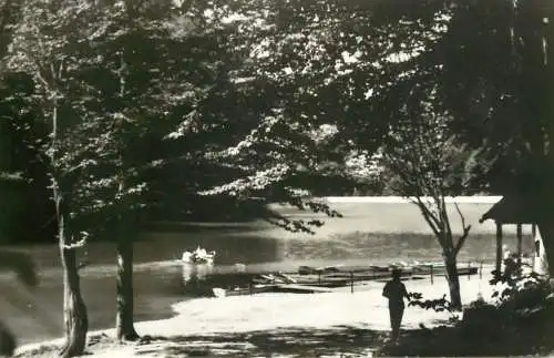 Romania lacul Codlea