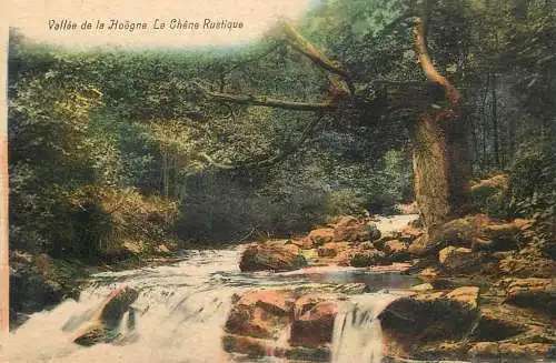 Belgium Spa vallee de la Hoegne Le chene rustique