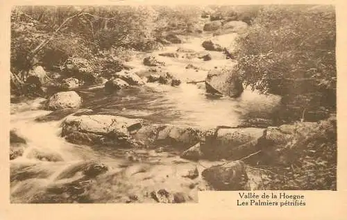 Belgium Spa vallee de la Hoegne les palmiers petrifies