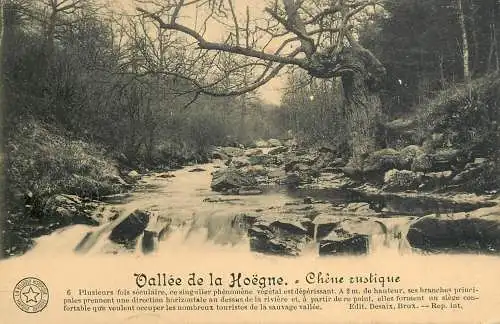 Belgium Spa vallee de la Hoegne chene rustique