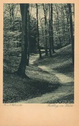 Germany Th. Hofmeister Fruhling im Walde