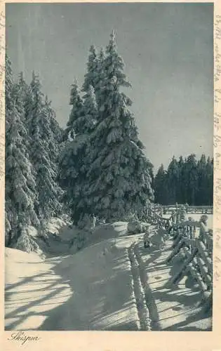 Germany winter scene and ski