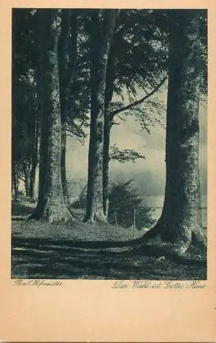 Germany Hofmeister Der wald ist Gottes Haus