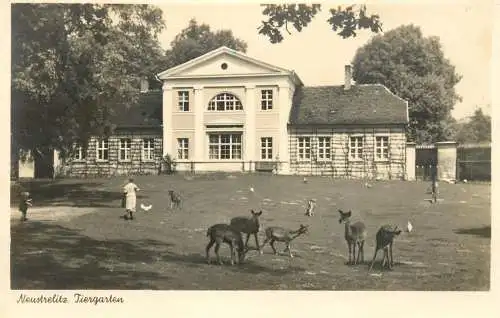 Germany Neustrelitz Tiergarten