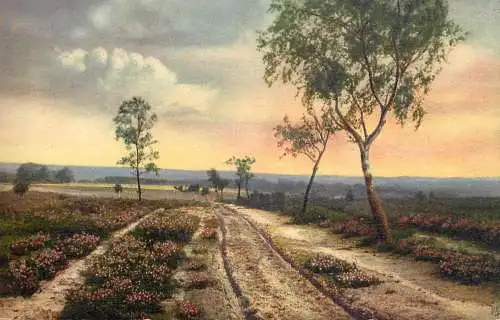 Germany abend in der heide