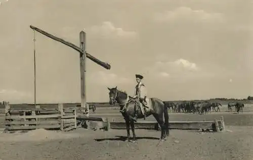 Hungary Hortobagy memes 1962