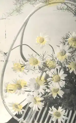 Hungary flower card