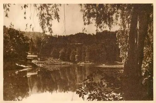 Romania Sovata lacul Ursu