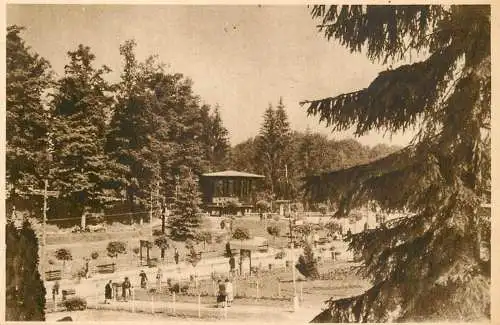Romania Sovata parc