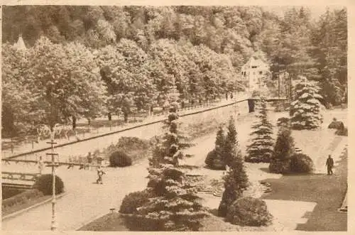 Romania Slanic Moldova parcul bailor centrale
