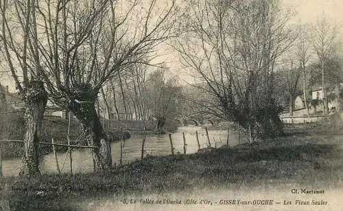 France La Vallee de l'Ouche (Cote d'Or) Gissey-sur-Ouche Les Vieux Saules