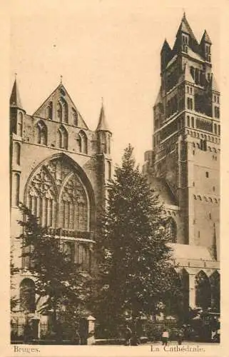 Belgium Brugge La Cathedrale