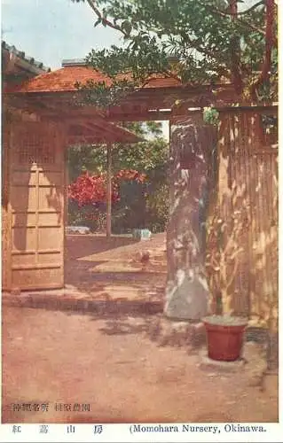 Japan Okinawa Momohara Nursery image