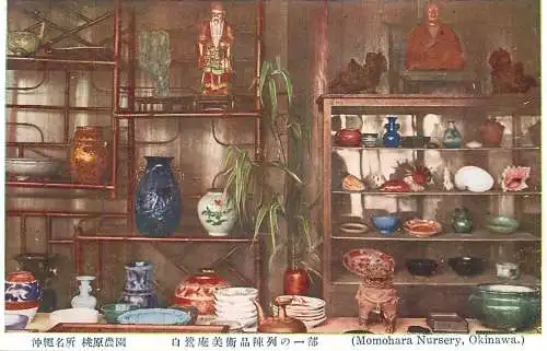 Japan Okinawa Momohara Nursery ceramic and porcelain pieces shelf detail view