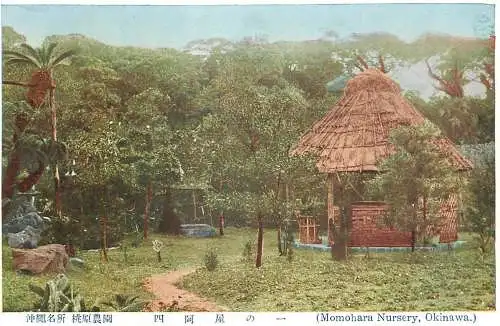 Japan Okinawa Momohara Nursery