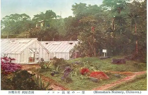 Japan Okinawa Momohara Nursery greenhouse