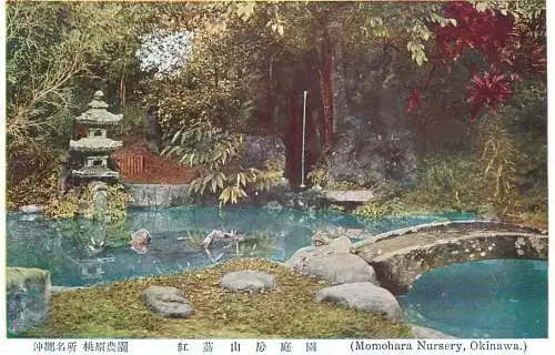 Japan Okinawa Momohara Nursery garden