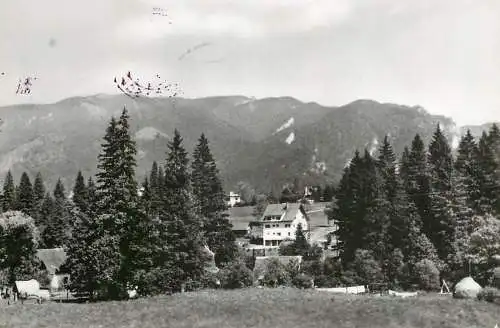 Romania Timisul de Sus vedere spre Piatra Mare