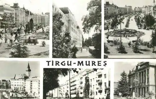 Romania Targu Mures diverse aspecte