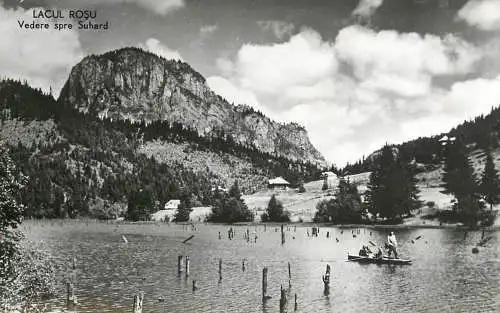 Romania Lacul Rosu vedere spre Suhard