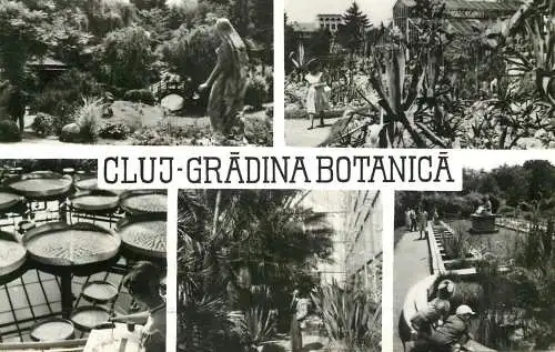 Romania Cluj-Napoca Gradina botanica diverse aspecte si imagini