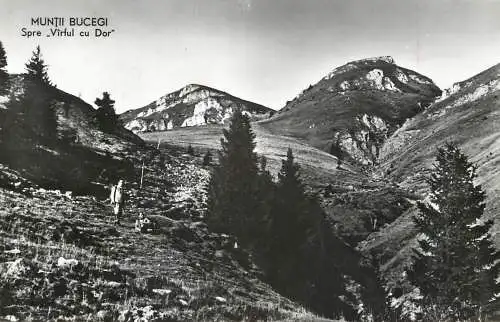 Romania Muntii Bucegi - spre "Varful cu Dor"