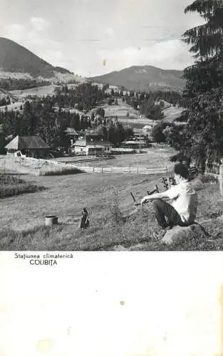 Romania Colibita vedere din statiune