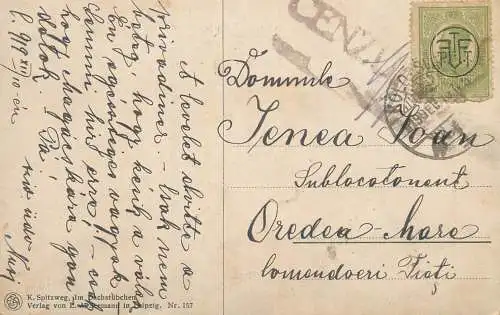 Romania cenzurat 1919 Oradea Mare overprint stamp