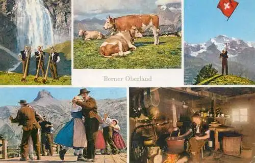 Switzerland Berner Oberland mountain life ethnic types and scenes multi view