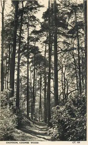 United Kingdom England Croydon Coombe Wood
