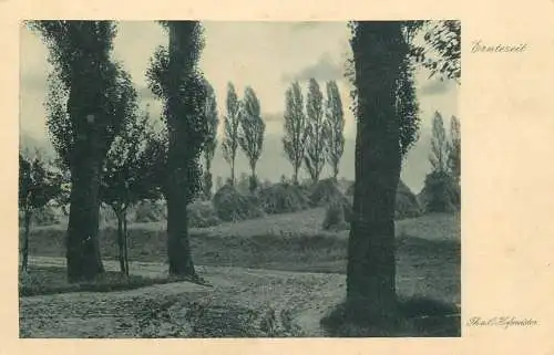 Agriculture harvest time countryside scenery