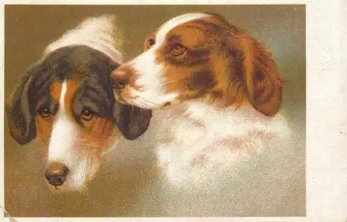 Animals in art dogs illustration