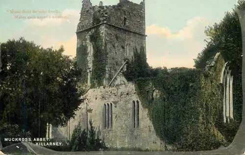 United Kingdom Scotland Muckross Abbey Killarney