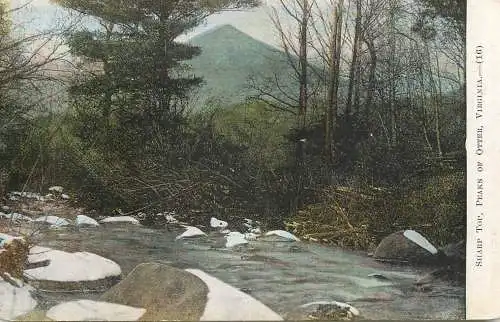 United States VA Twin Peaks of Otter in Bedford County