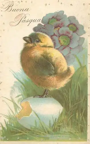 Easter greeting chicken, eggshell and blue flowers illustration