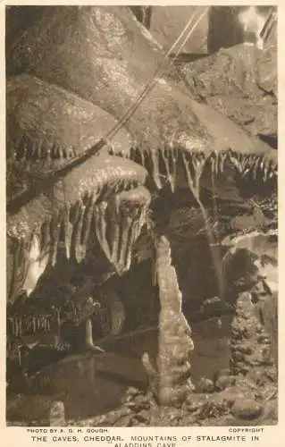 United Kingdom England Cheddar caves