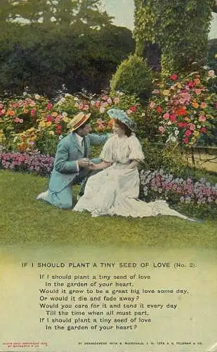 If I should plant a tiny seed of love