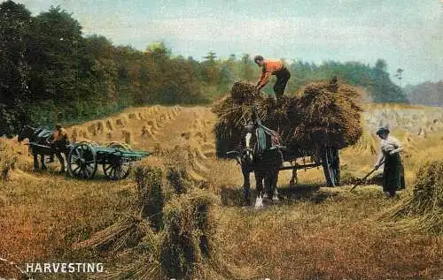 United Kingdom agriculture harvesting