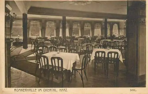 Germany Hotel mit Villa Helene Romkerhalle im Okertal Harz