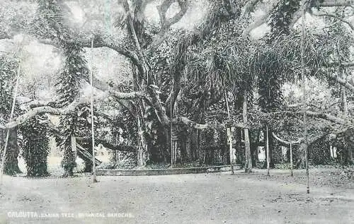 India Calcutta Banian Tree Botanical Gardens