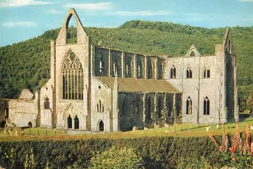 United Kingdom Wales Monmouthshire Tintern abbey