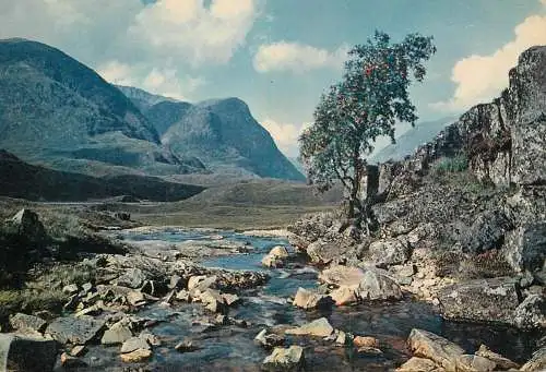 United Kingdom Scotland Argyllshire Glencoe river Coe