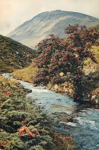 United Kingdom Scotland a hill stream near Moffat