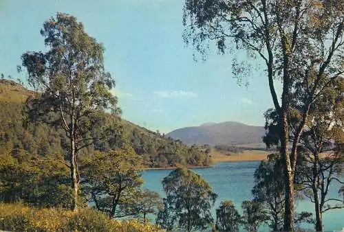 United Kingdom Scotland Loch Pityoulish