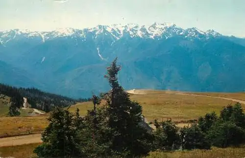 United States the Bailey Range from Hurricane ridge lookout