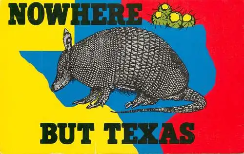 United States TX Texas armadillo