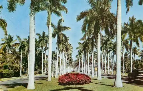 United States FL Palm Beach Royal Palm Way