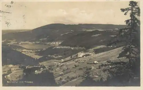 Germany Barental mit Titisee