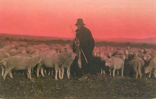 Italy Campagna Romana shepherd with sheep flock types and scenes
